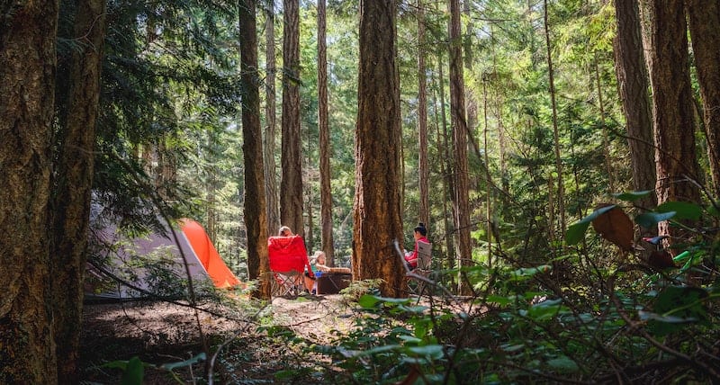 family camping in forest knows first aid for insect bites and stings